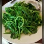 Best Stir-Fried Pea Sprout 清炒豆苗 in San Francisco, CA